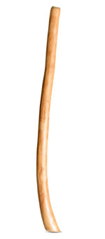 Medium Size Natural Finish Didgeridoo (TW1466)